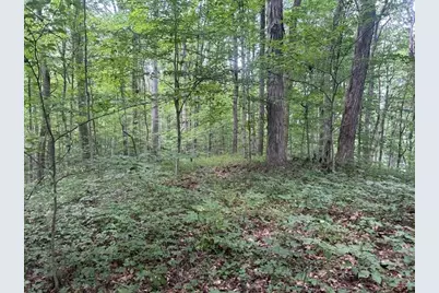24229 Sanes Creek Road, Laurel, IN 47024 - Photo 36