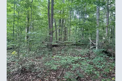 24229 Sanes Creek Road, Laurel, IN 47024 - Photo 24