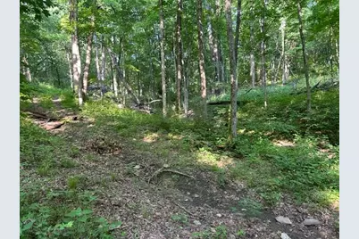 0 1 Sand Ridge Road, Patriot, IN 47038 - Photo 14
