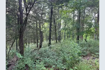 0 2 Sand Ridge Road, Patriot, IN 47038 - Photo 26
