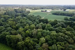 10389 Henry Ford Rd, Bennington, IN 47011 - Photo 40