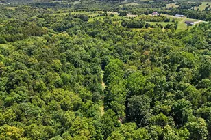 0 Bascom Corner Rd, Rising Sun, IN 47040 - Photo 30