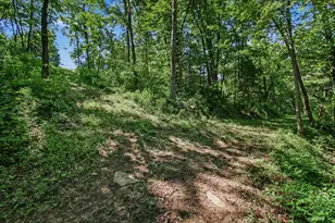 0 Bascom Corner Rd, Rising Sun, IN 47040 - Photo 20