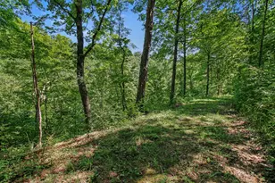0 Bascom Corner Rd, Rising Sun, IN 47040 - Photo 18