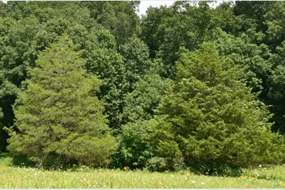 4203 Moorman Road, Batesville, IN 47006 - Photo 10