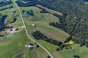 6864 Palmer Rd, Rising Sun, IN 47040 - Photo 28