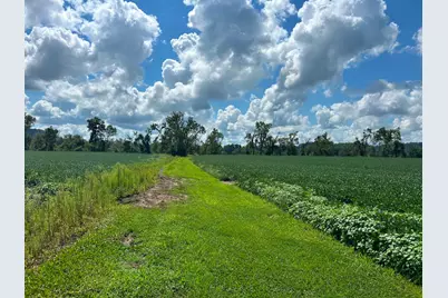 2889 E State Road 56, Vevay, IN 47043 - Photo 24