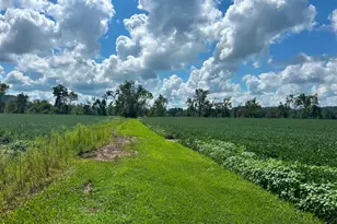 2889 E State Road 56, Vevay, IN 47043 - Photo 24