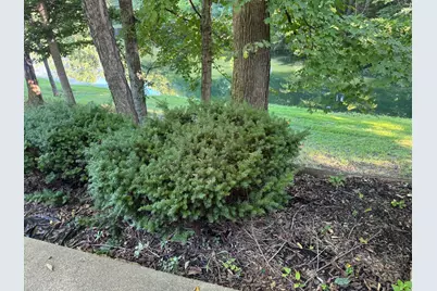 6236 S State Road 129, Versailles, IN 47042 - Photo 44