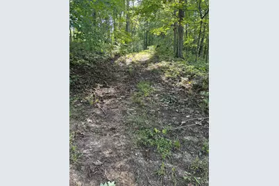 6236 S State Road 129, Versailles, IN 47042 - Photo 62