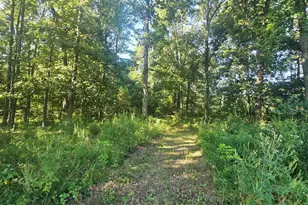 11302 Gutapfel Rd, Sunman, IN 47041 - Photo 54