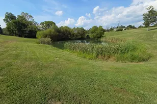 18987 Meads Ridge Rd, Patriot, IN 47038 - Photo 40