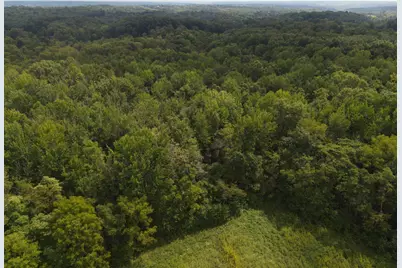 0 Sr 1, West Harrison, IN 47006 - Photo 4