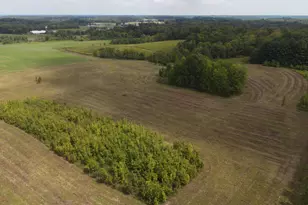 0 Sr 1, West Harrison, IN 47006 - Photo 1