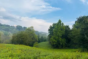 1 Snail Creek Rd, Brookville, IN 47012 - Photo 1