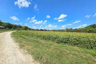 9099 Pipe Creek Rd, Metamora, IN 47030 - Photo 6