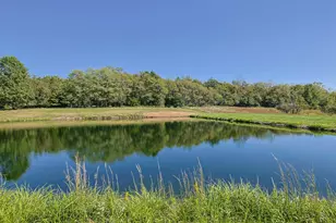 22078 Ester Ridge Rd, Sunman, IN 47041 - Photo 44