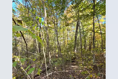 0 Williams Retreat Road, West Harrison, IN 47060 - Photo 12