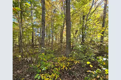 0 Williams Retreat Road, West Harrison, IN 47060 - Photo 10