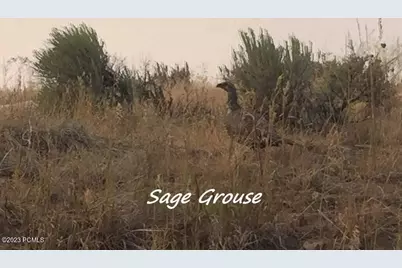 9693 N Red Hawk Trail, Park City, UT 84098 - Photo 22