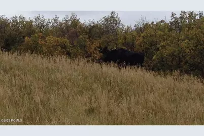 9693 N Red Hawk Trail, Park City, UT 84098 - Photo 20