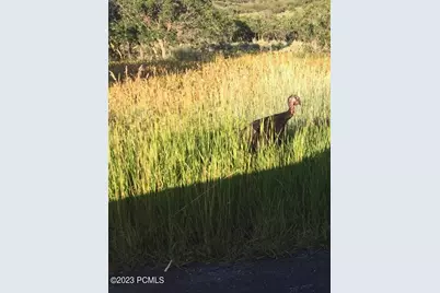 9693 N Red Hawk Trail, Park City, UT 84098 - Photo 24