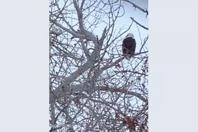 9693 N Red Hawk Trail, Park City, UT 84098 - Photo 18