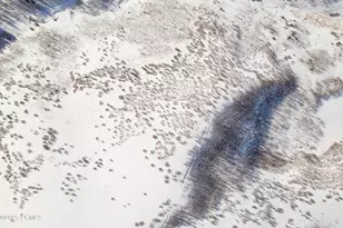 2586 N Whispering Springs Hollow Rd, Heber City, UT 84032 - Photo 82