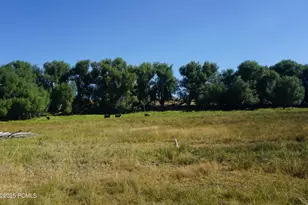 1570 W Main Canyon Rd, Wallsburg, UT 84082 - Photo 16