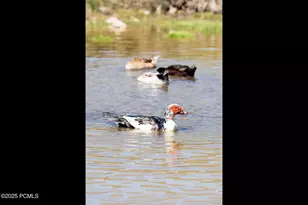 29706 Old Lincoln Hwy, Wanship, UT 84017 - Photo 42