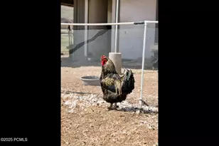 29706 Old Lincoln Hwy, Wanship, UT 84017 - Photo 36