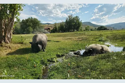 29706 Old Lincoln Highway, Wanship, UT 84017 - Photo 50