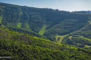 1003 Norfolk Ave, Park City, UT 84060 - Photo 14