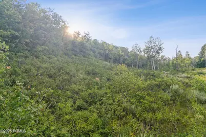 Tax Id 00-0008-2409, Heber City, UT 84032 - Photo 6