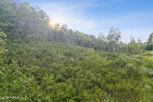 Tax Id 00-0008-2409, Heber City, UT 84032 - Photo 6