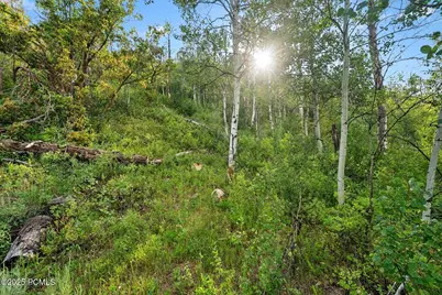 Tax Id 00-0008-2409, Heber City, UT 84032 - Photo 18