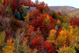 2458 Forest Meadow Rd, Coalville, UT 84017 - Photo 52