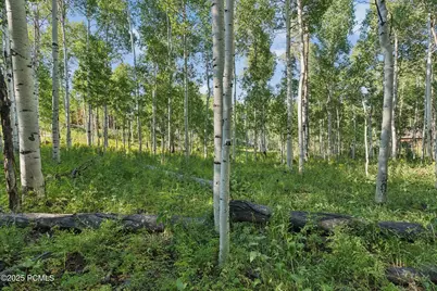 3949 Blue Spruce Drive, Heber City, UT 84032 - Photo 38