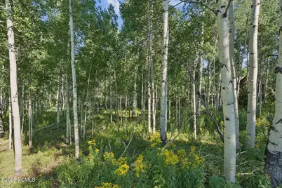 3949 Blue Spruce Drive, Heber City, UT 84032 - Photo 30