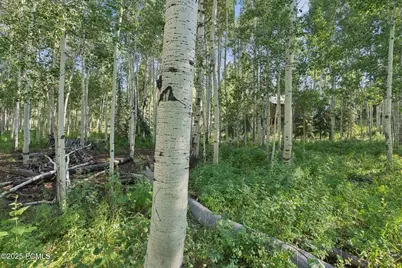 3949 Blue Spruce Drive, Heber City, UT 84032 - Photo 42