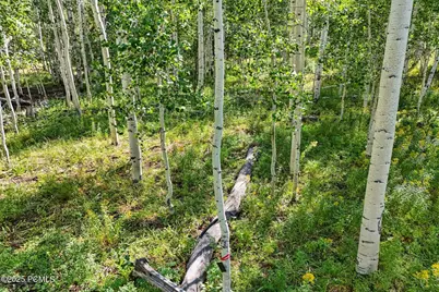 3949 Blue Spruce Drive, Heber City, UT 84032 - Photo 10