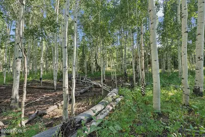 3949 Blue Spruce Drive, Heber City, UT 84032 - Photo 34