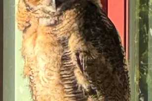 9080 N Uinta Dr, Kamas, UT 84036 - Photo 18