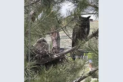 9080 N Uinta Drive, Kamas, UT 84036 - Photo 80