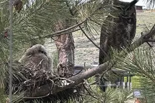 9080 N Uinta Dr, Kamas, UT 84036 - Photo 80