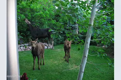 7436 Tall Oaks Drive, Park City, UT 84098 - Photo 30