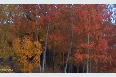 7436 Tall Oaks Drive, Park City, UT 84098 - Photo 46