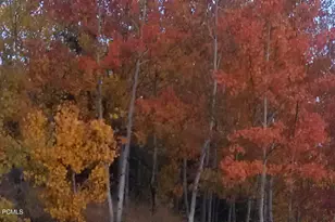 7436 Tall Oaks Dr, Park City, UT 84098 - Photo 46