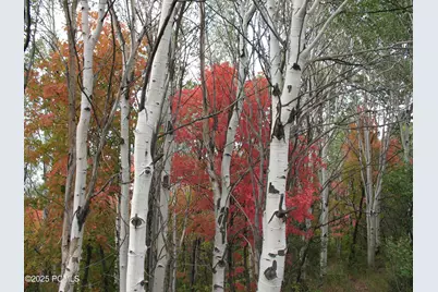 7436 Tall Oaks Drive, Park City, UT 84098 - Photo 44