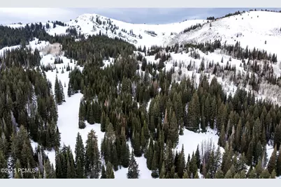 329 White Pine Canyon Road, Park City, UT 84060 - Photo 22